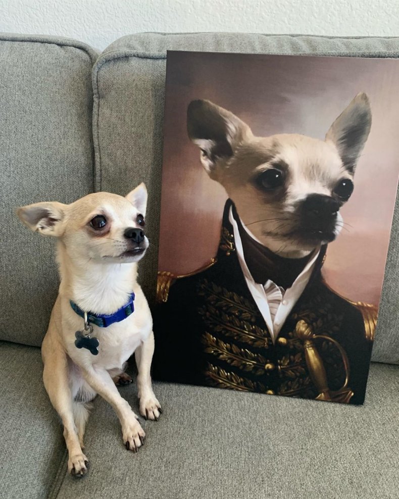 Crown and Paw