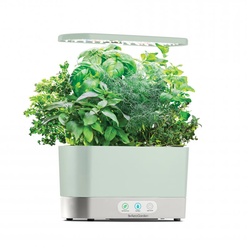 AeroGarden