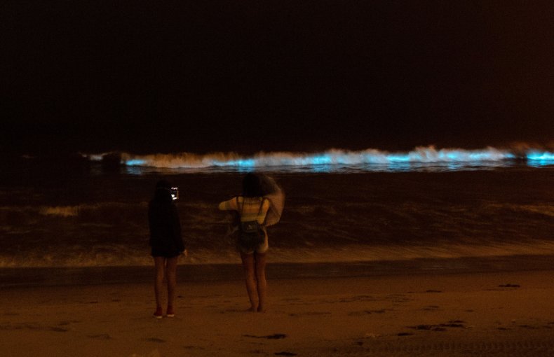 Bioluminescent waves crash on the sand