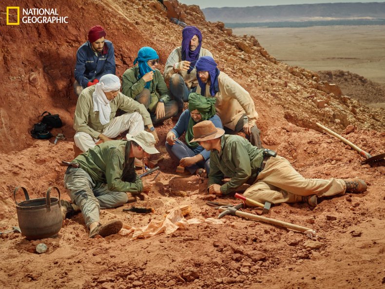 spinosaurus-expedition