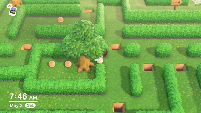 animal crossing horizons mayday maze 8