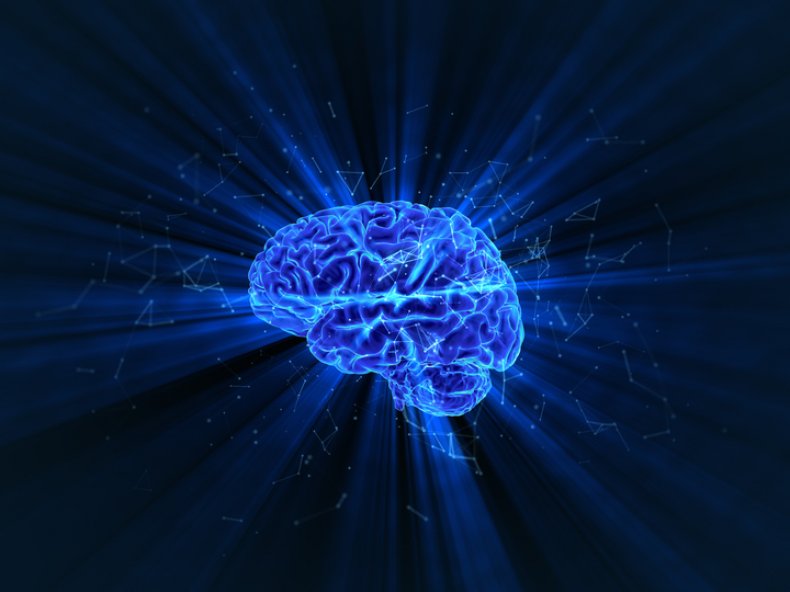 brain