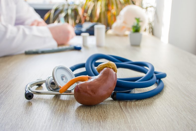 kidney, stock, getty