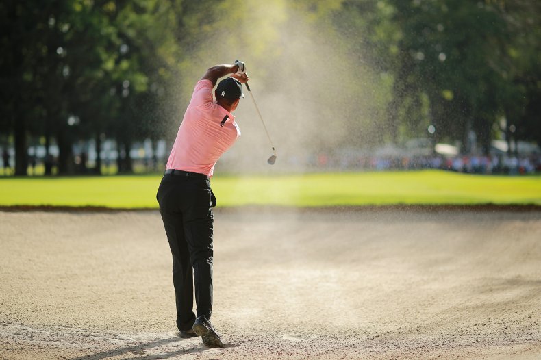 Tiger Woods Golf