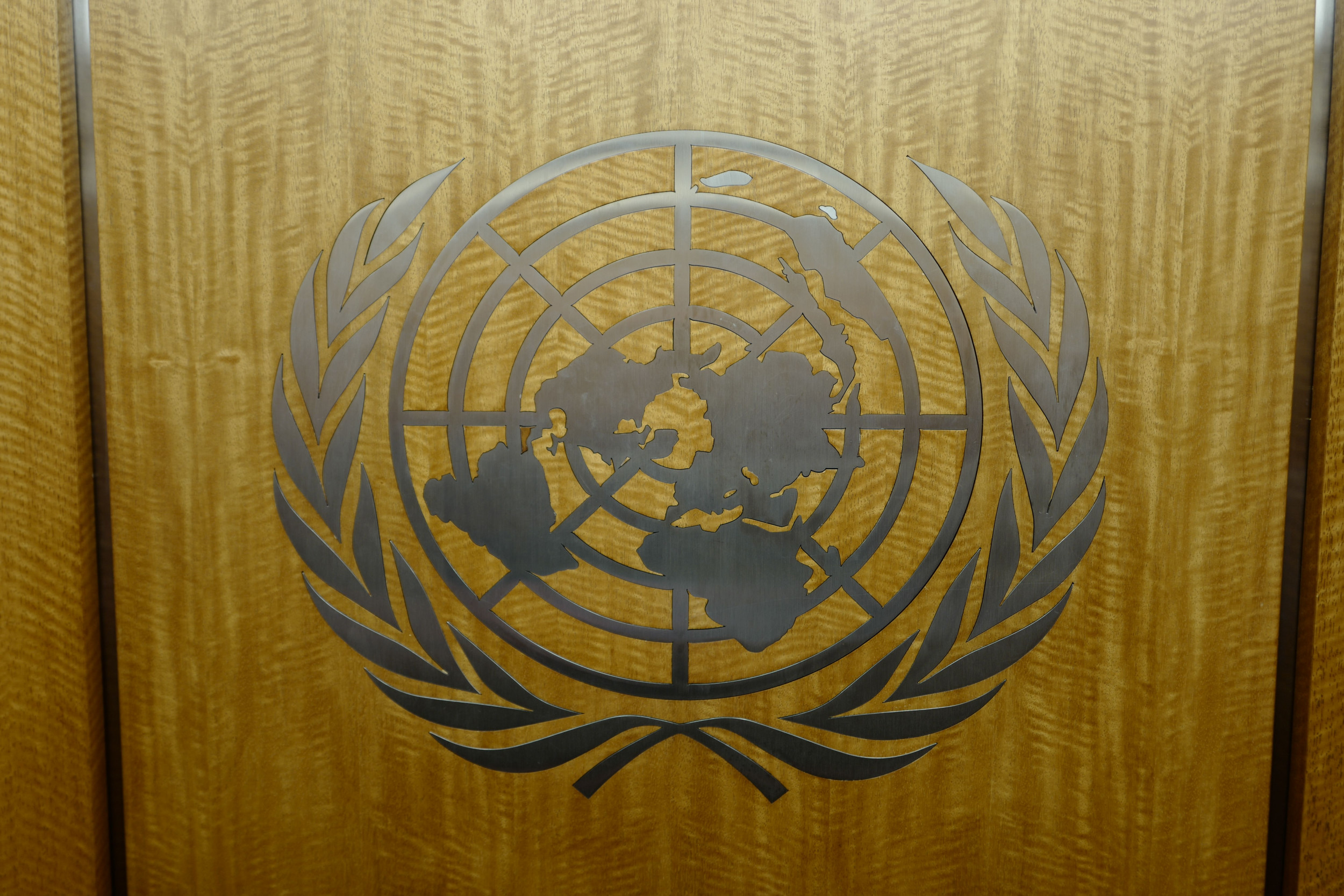 United nations report