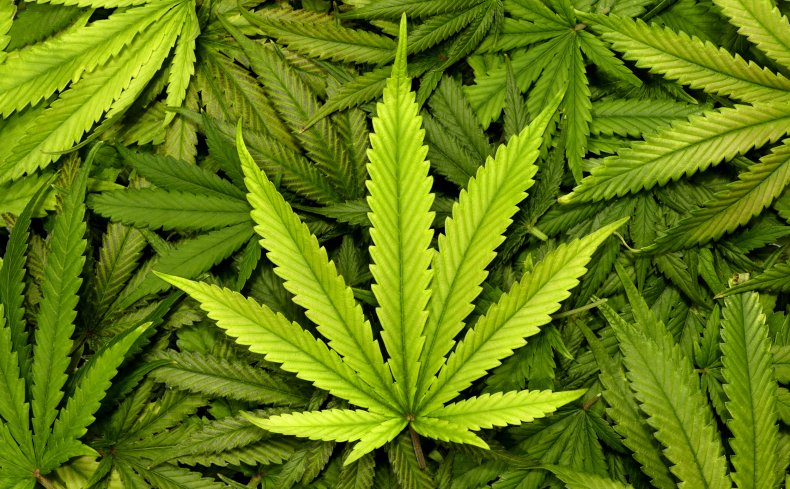 Stimulus Bill cannabis