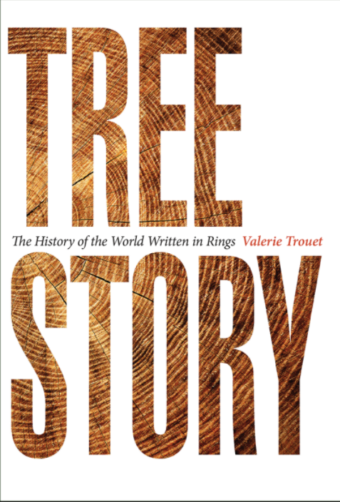 tree ring