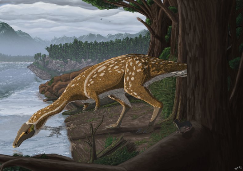 Illustration: elaphrosaur