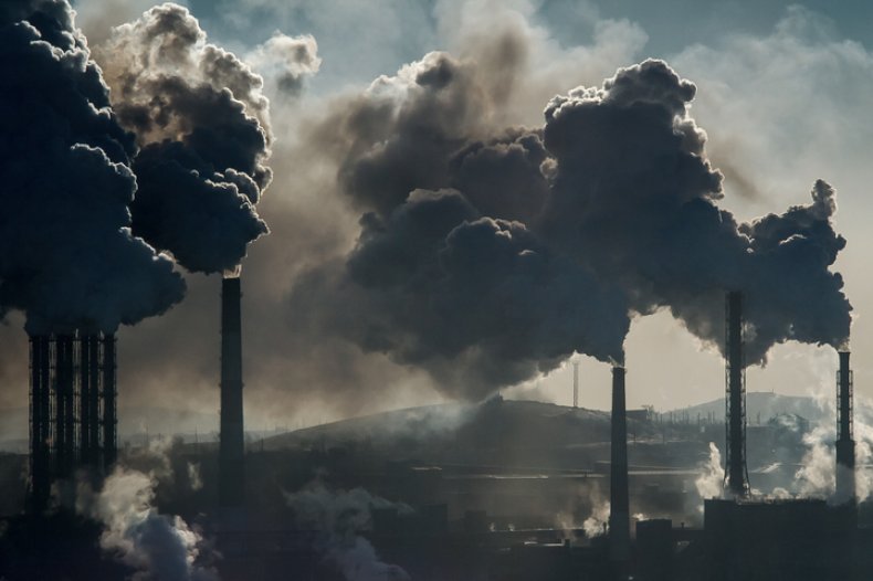 coal coal