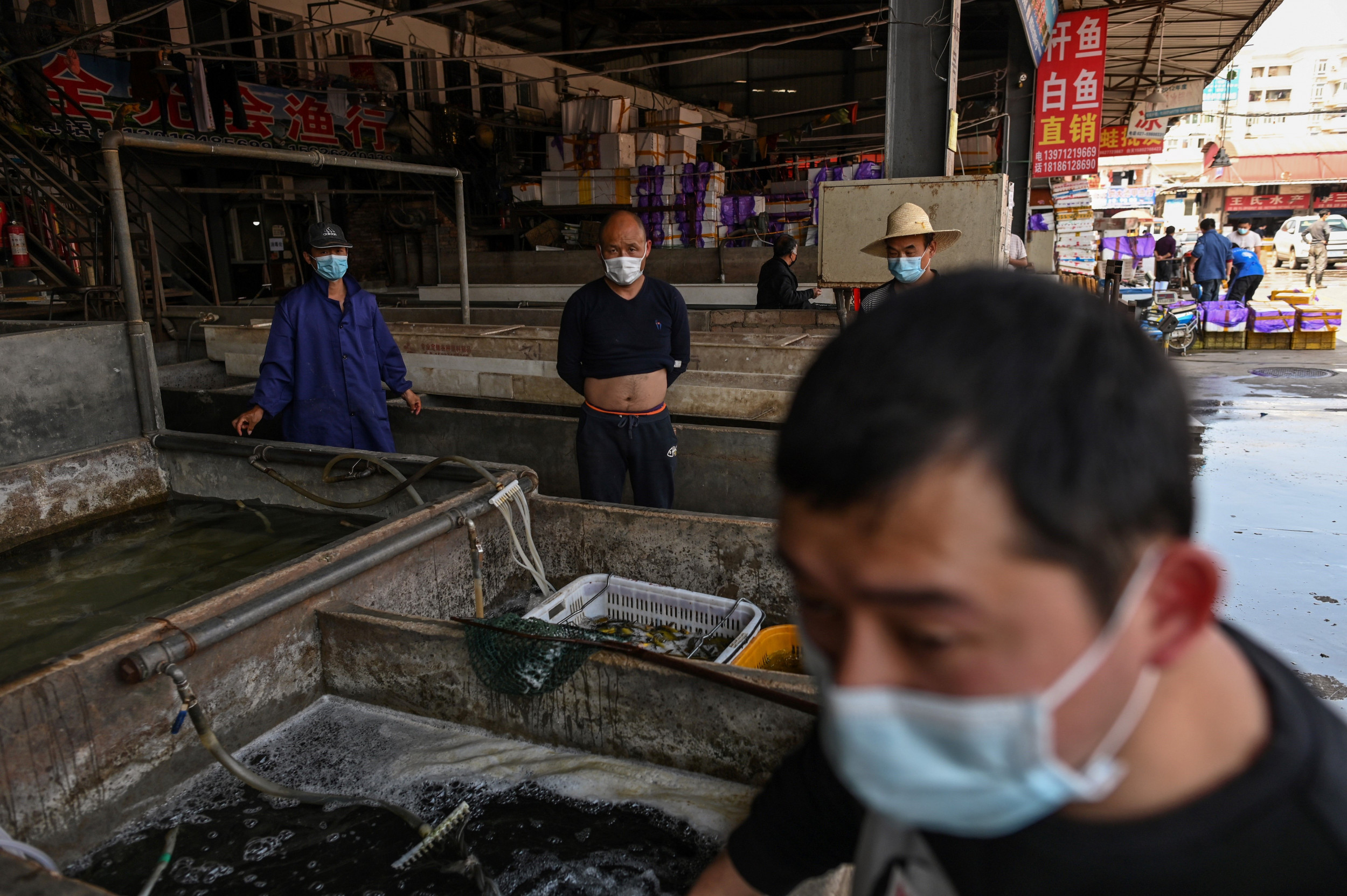Wuhan Authorities Ban Eating Wild Animals After Wet Market Linked to  COVID-19 Outbreak