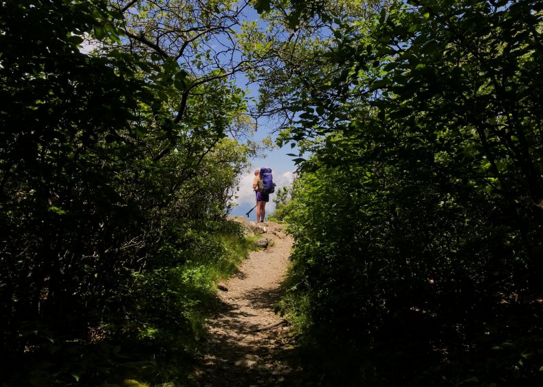 Hiking