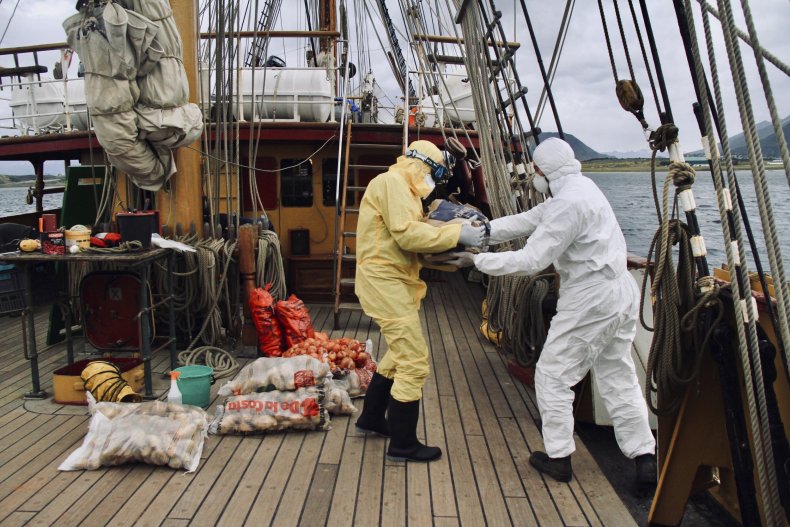 Bark Europa sails during Covid-19