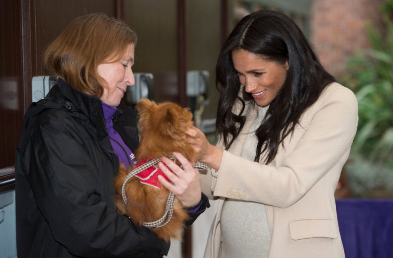Meghan Markle Visits Mayhew Animal Rescue Charity