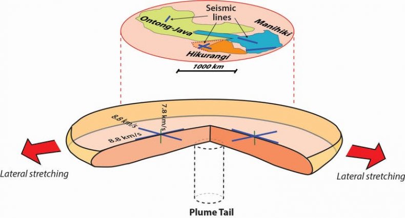 plume