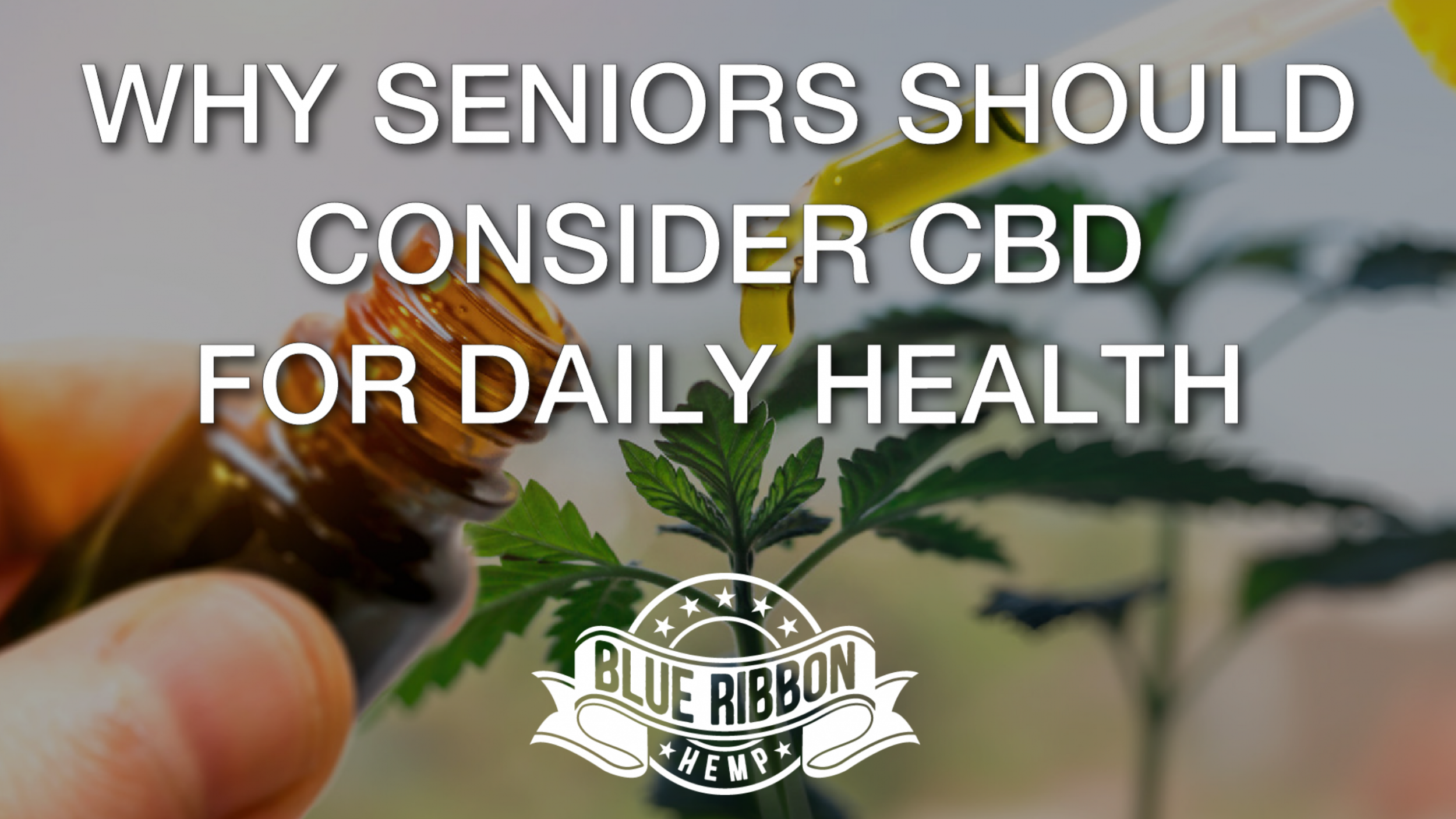 Newsweek AMPLIFY - CBD for Seniors