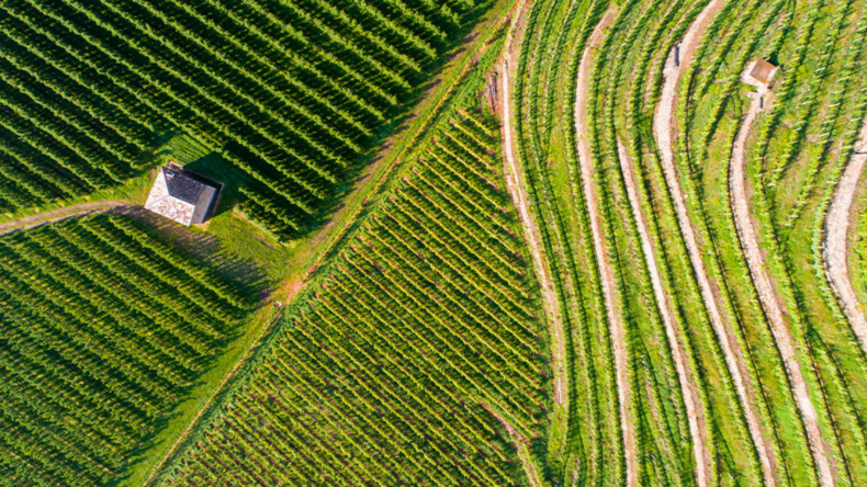 Newsweek AMPLIFY - FarmTogether's Innovative Platform Newsweek AMPLIFY - FarmTogether's Innovative Platform