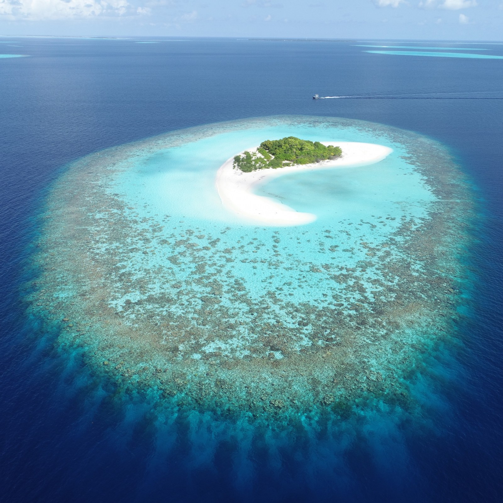 Atoll Reef Example Atoll Reef Definition