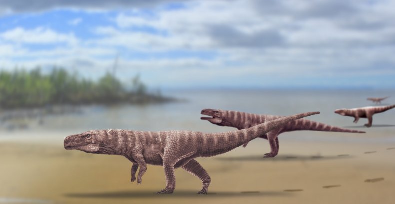 crocodile ancestors