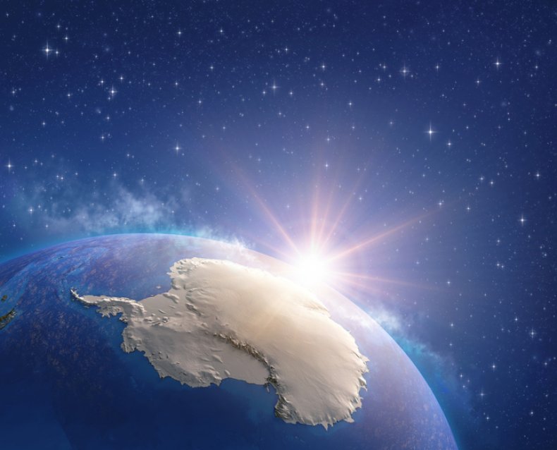 antarctica antarctica