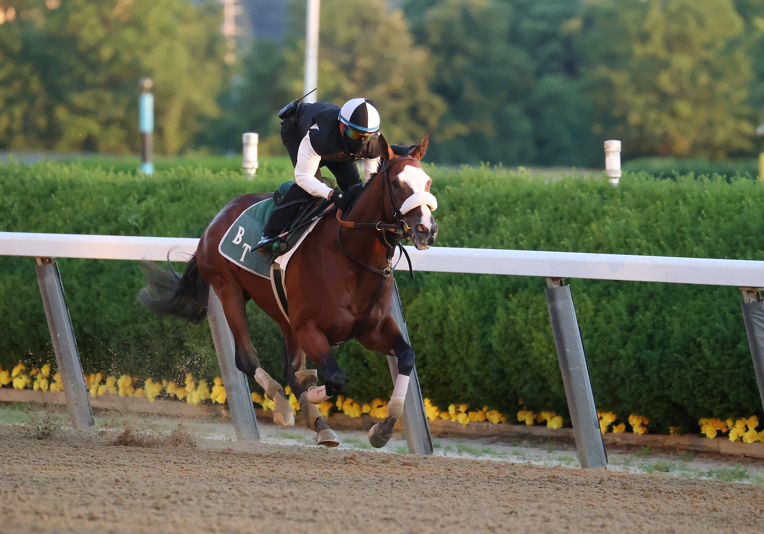 Belmont Stakes Post Positions and Odds for All 10 Horses on Saturday