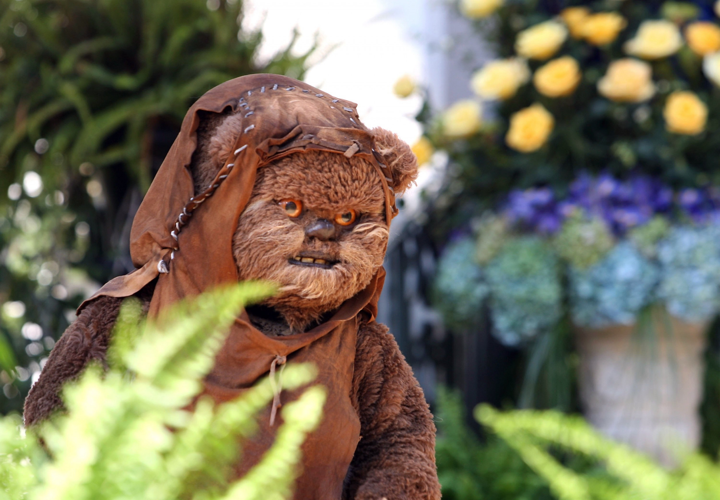 Star Wars Ewok Furry Mask