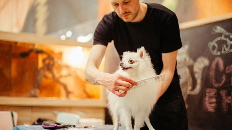 Newsweek Amplify - Grooming Tools Newsweek Amplify - Grooming Tools