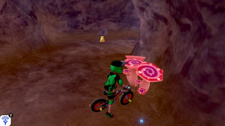 pokemon sword shield isle armor max mushrooms