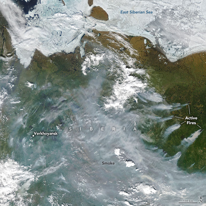 NASA Images Show Extreme Heat And Fires Raging Across Siberia - Newsweek