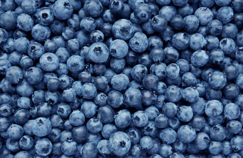50foods_newjersey