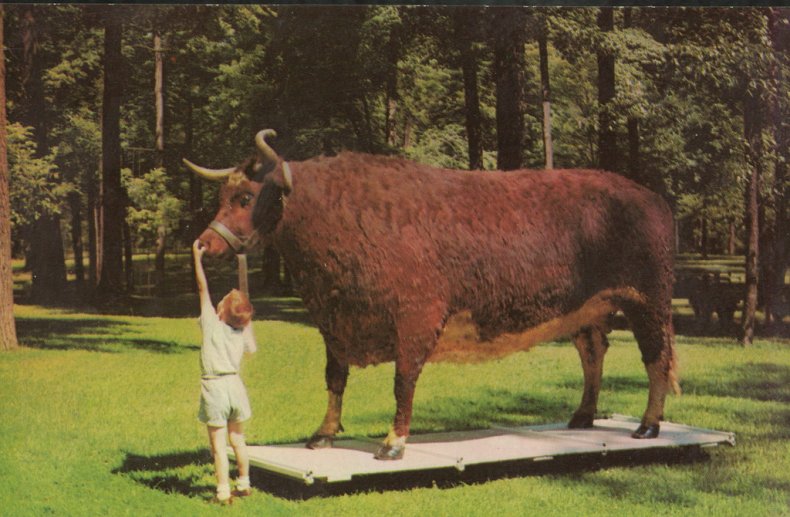 Indiana