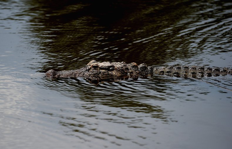 Louisiana