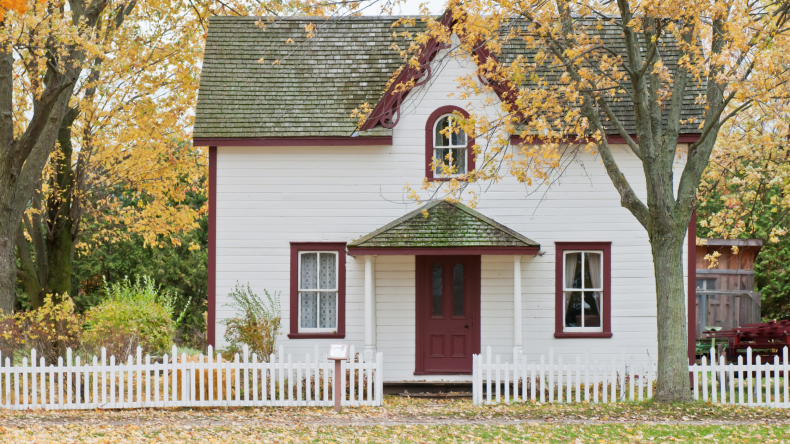 Newsweek AMPLIFY - Home Improvement