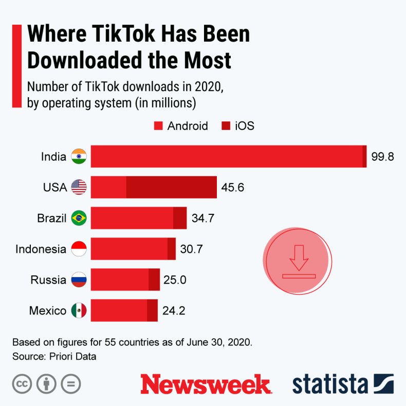 TikTok Statista Graphic