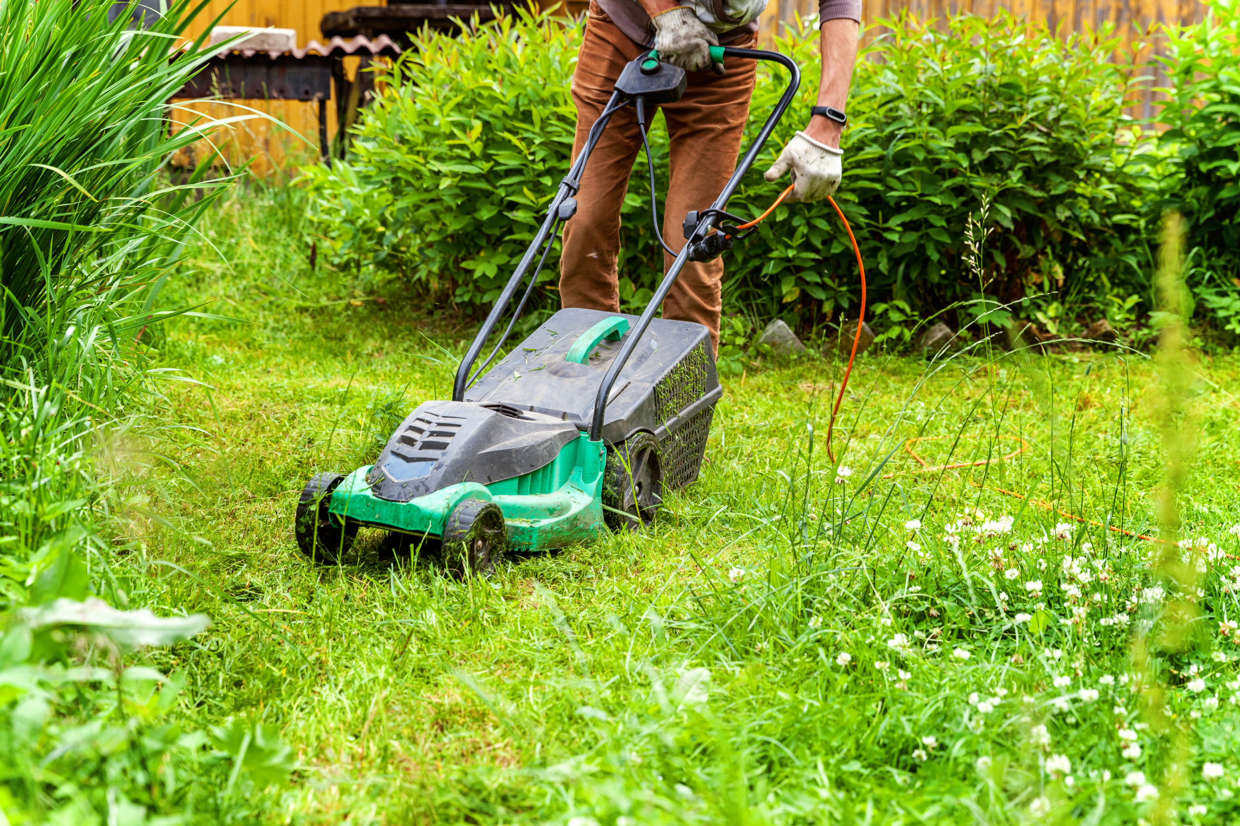 Lawn mower in online mexican spanish