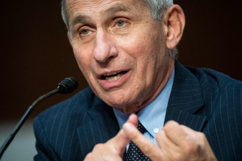 anthony fauci, Washington, DC, getty
