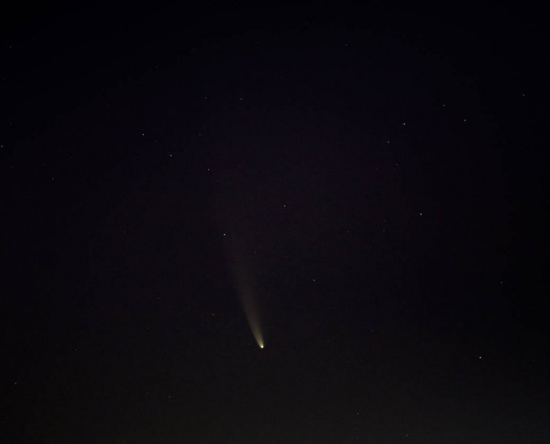 comet-neowise-dc
