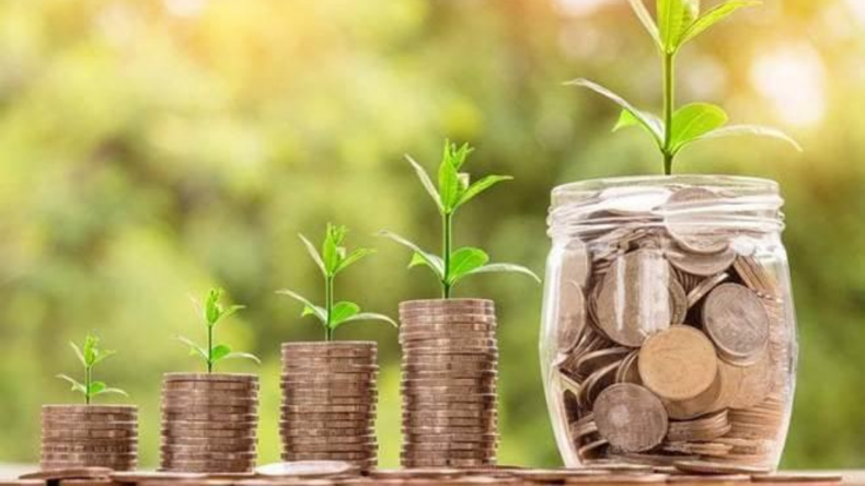 Newsweek Amplify - Savings