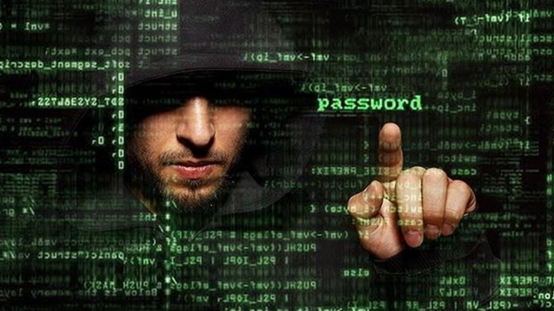 Newsweek Amplify - Internet Users