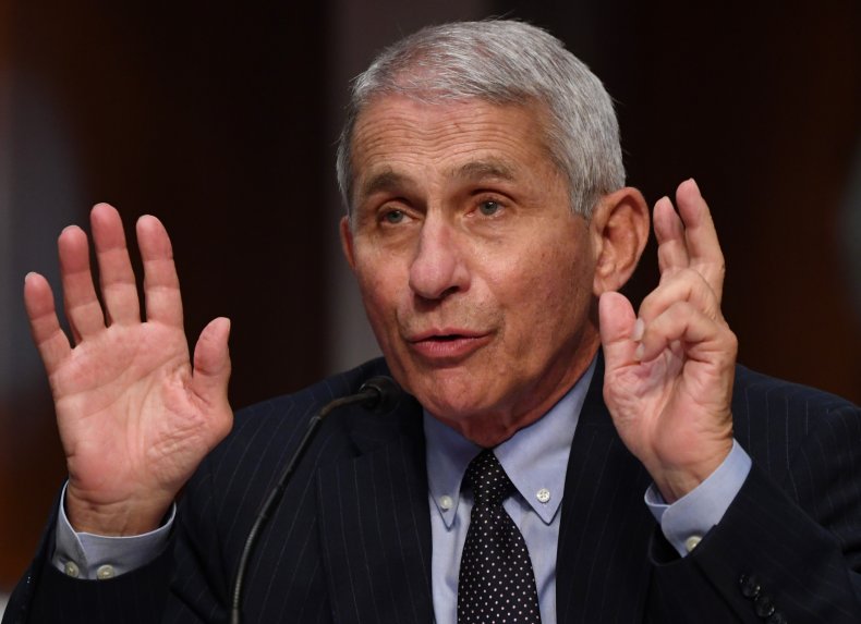 dr anthony fauci, covid19, coronavirus, senate, getty