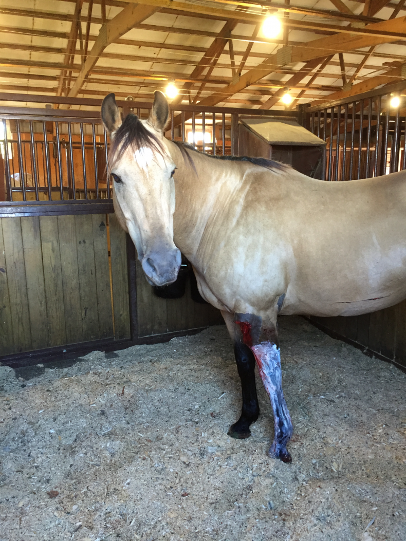 Rocky injury