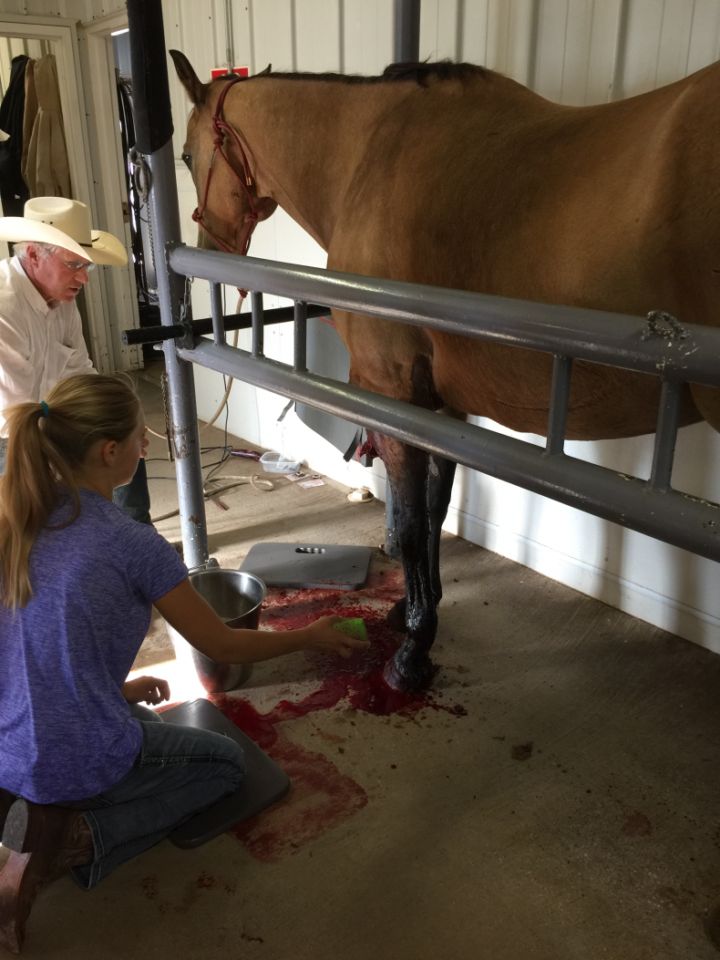 Bridget mending injury