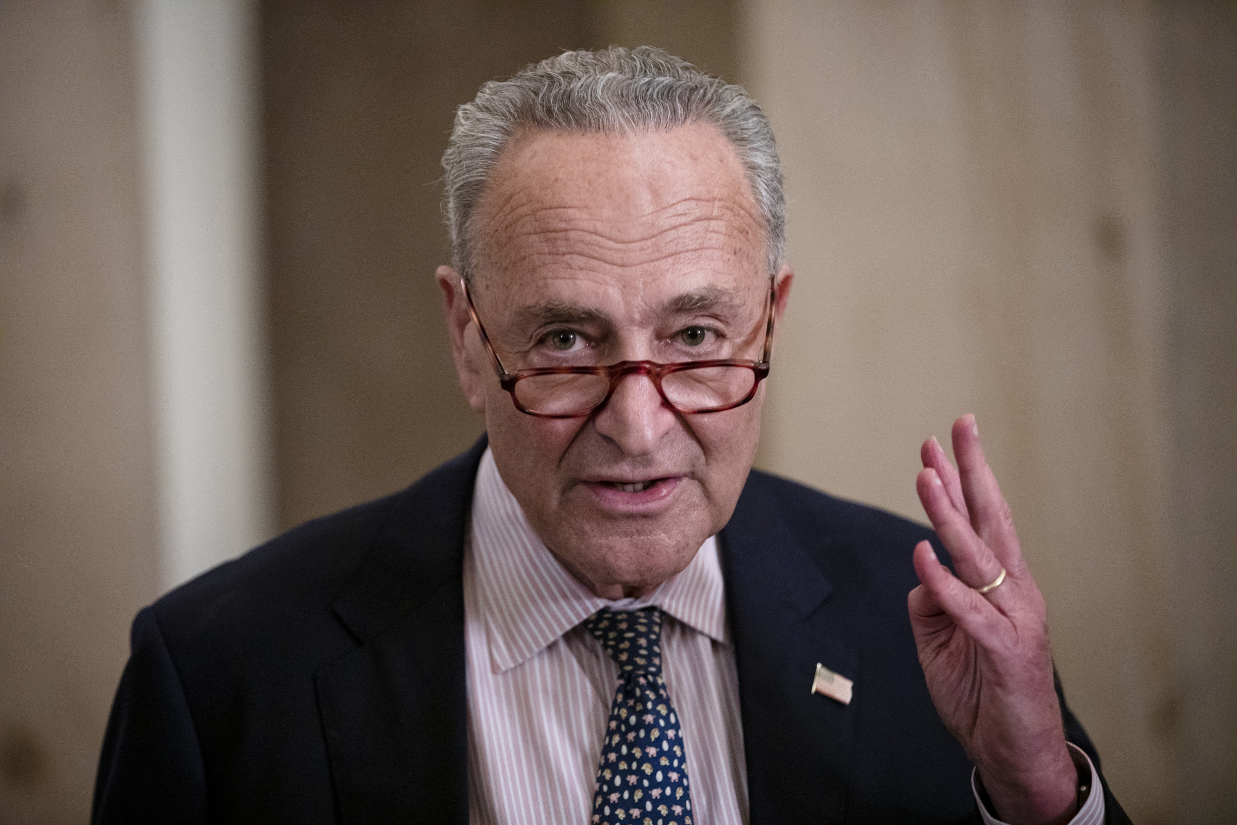 Chuck Schumer's Attempt to Steal the Kansas Senate Seat | Opinion