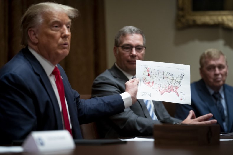 President Donald Trump