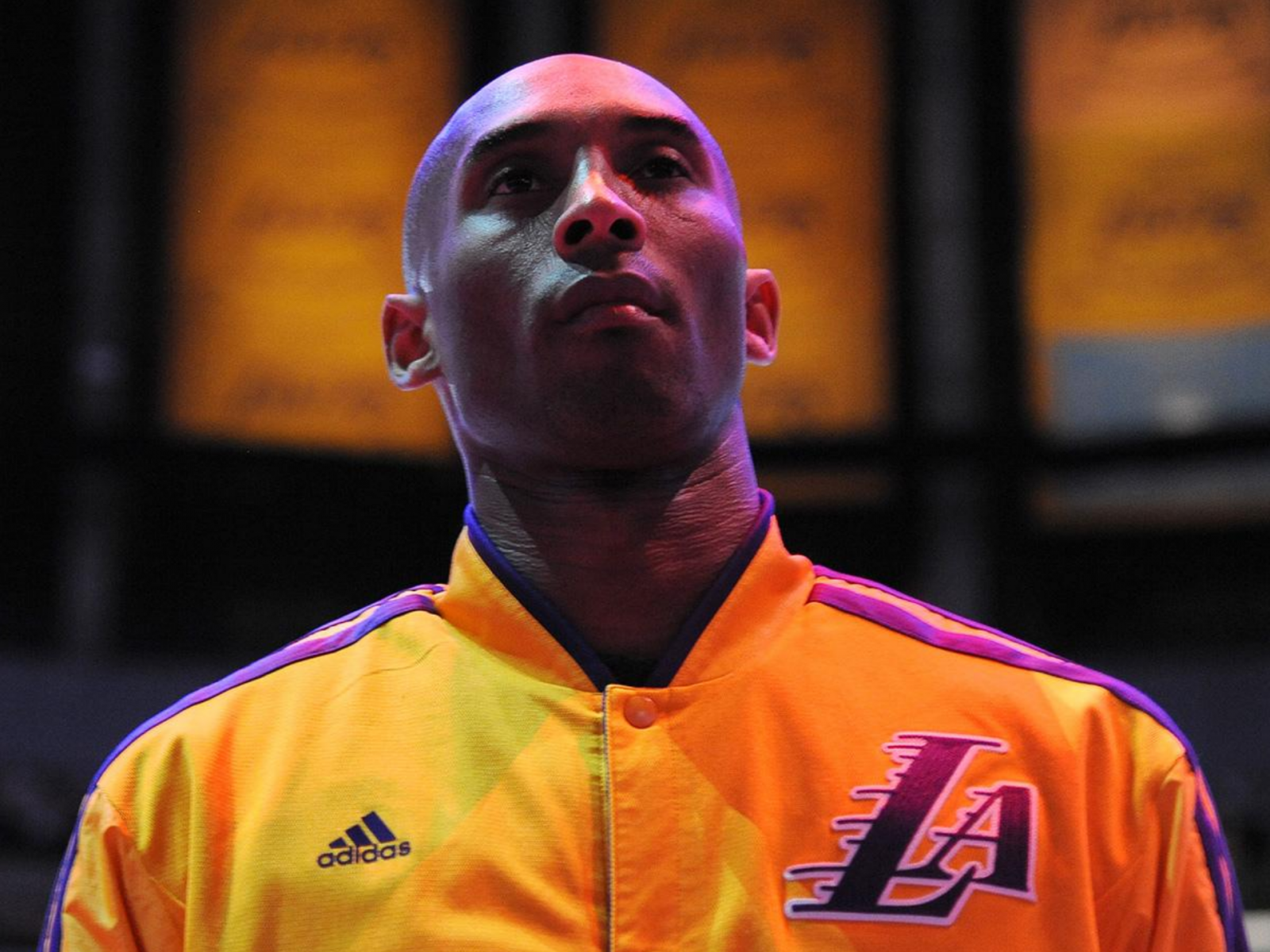 Kobe bryant the hot sale mamba