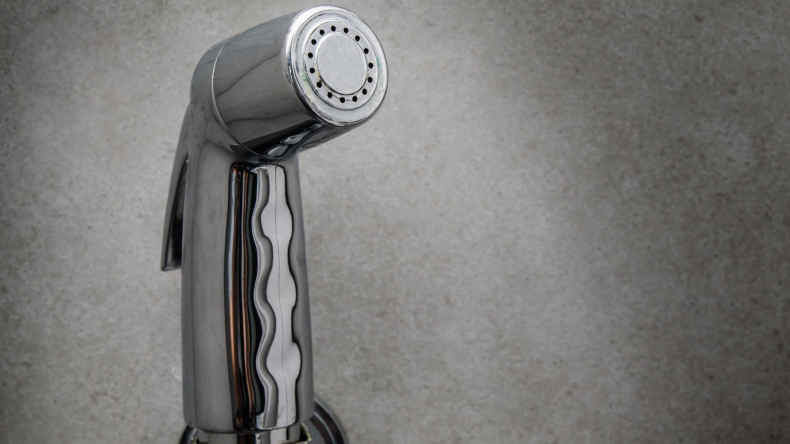 Newsweek AMPLIFY Types of Bidet
