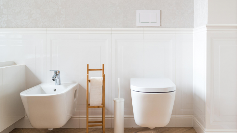 Newsweek AMPLIFY Types of Bidet