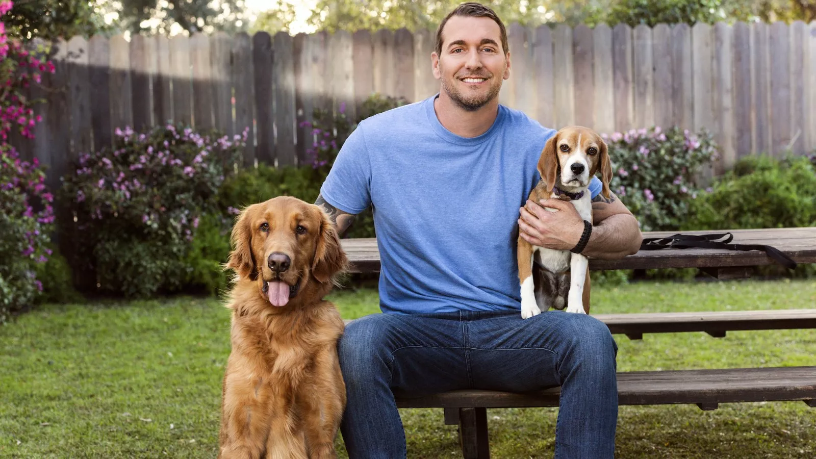 I'm a Celebrity Dog Trainer in Hollywood' I'm a Celebrity Dog Trainer in Hollywood'