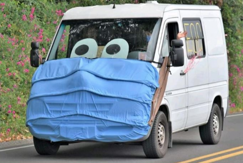 Woman Turns Van Into Covid-19 Warning