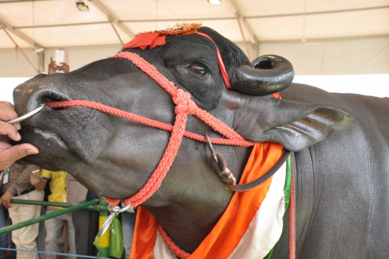 Yuvraj