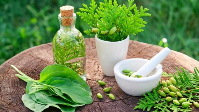Newsweek Amplify - Herbal Medicines